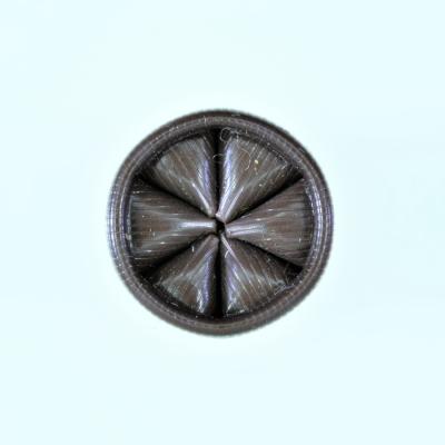 Cartucce Anima Liscia Riquadri055