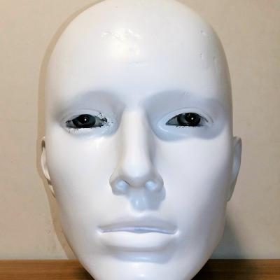 Head008
