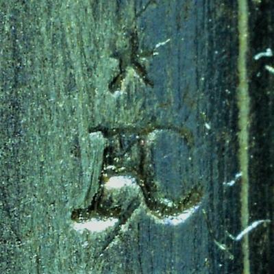 Fucile Bayard Cal 16 003
